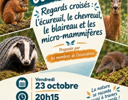 conference-des-gazouillis