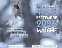 festival-photo-du-4-au-6-septembre