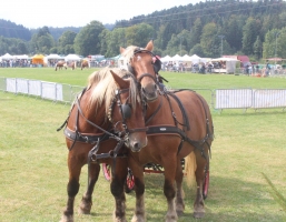 concours-national-les-11-et-12-septembre