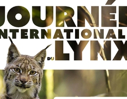 journee-internationale-du-lynx