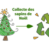 Ramassage des Sapins de Noël